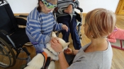 Dogoterapia