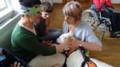 Dogoterapia