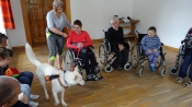 Dogoterapia