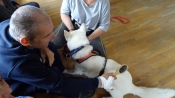 Dogoterapia
