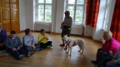 Dogoterapia