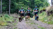 dogtrekking